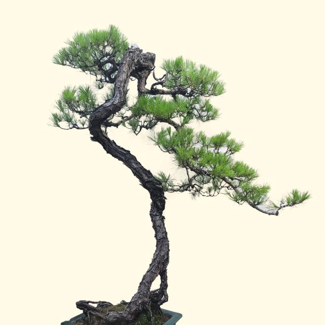 賢和堂