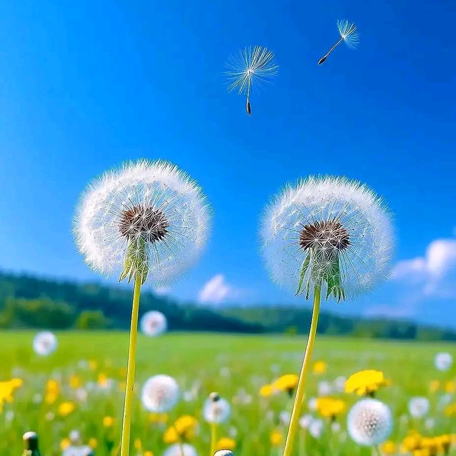 “我还是我”不一样的烟火