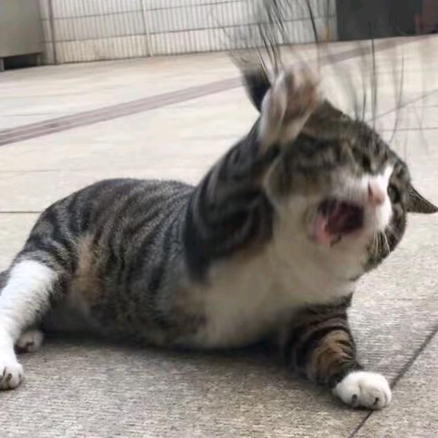 小H深深深