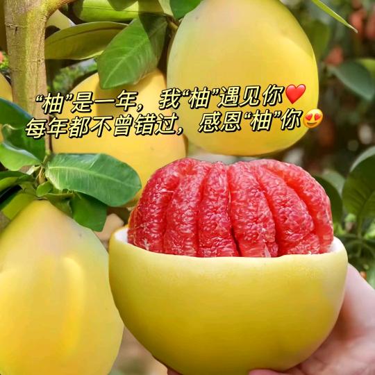 蜜柚鲜生（曹眼镜）