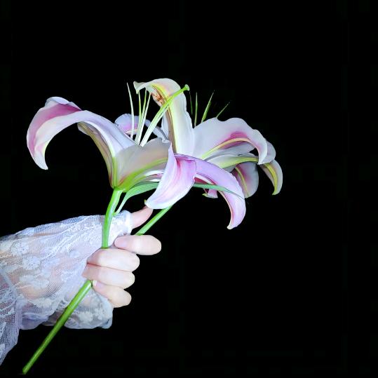 ღ᭄💞什么是 ꧔ꦿ᭄真爱 ღ᭄ 💕