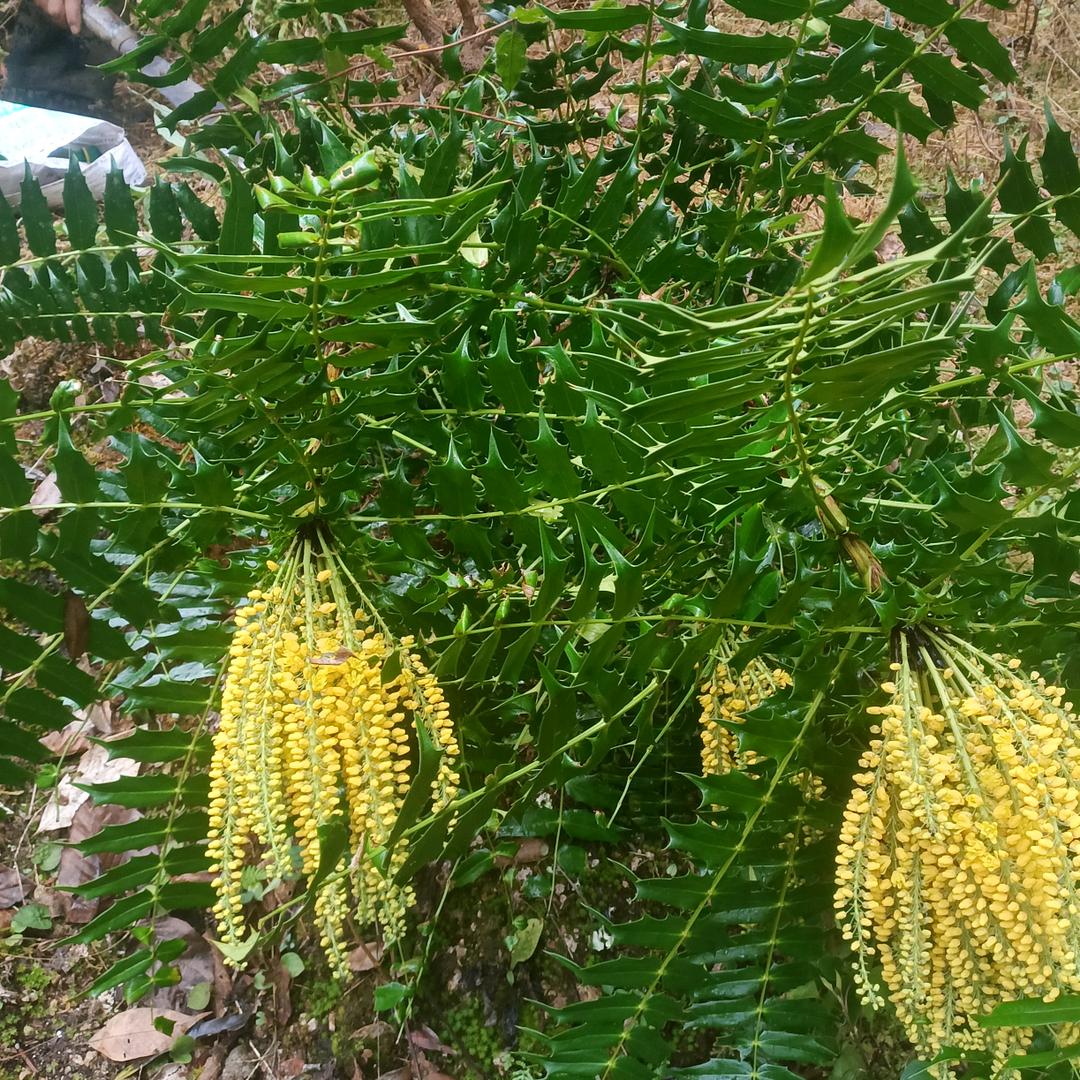 往后一生不回头。