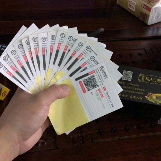 鼎聚雷龙育苗基地