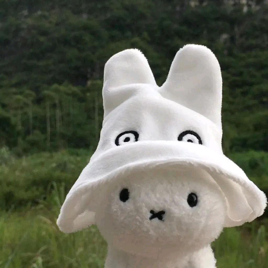 追星星的人