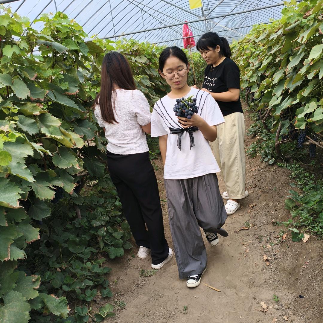木楼农场39号采摘园
