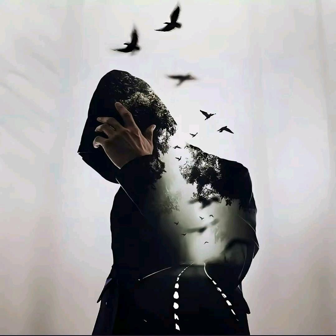 ᭄随手揽月ꦿ࿐ᩚ