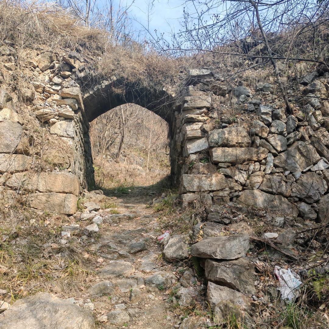 闯荡哥