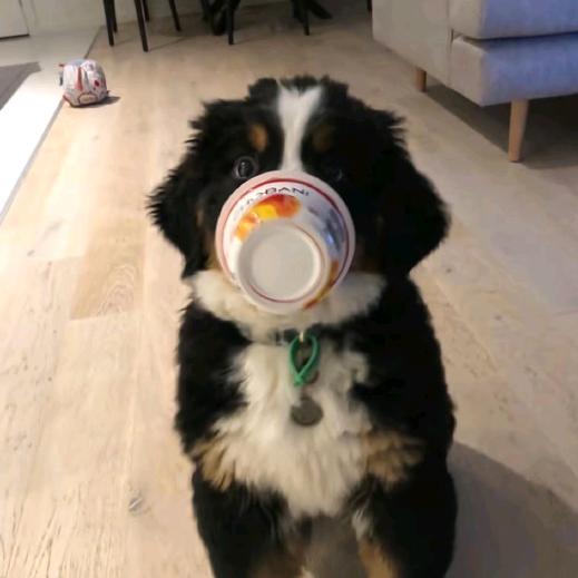 喵喵（已有🪢闺