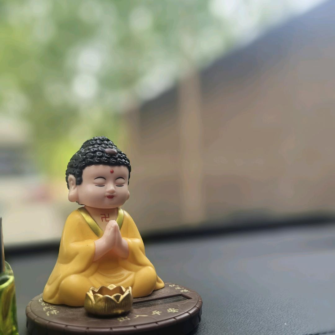 命运啊！