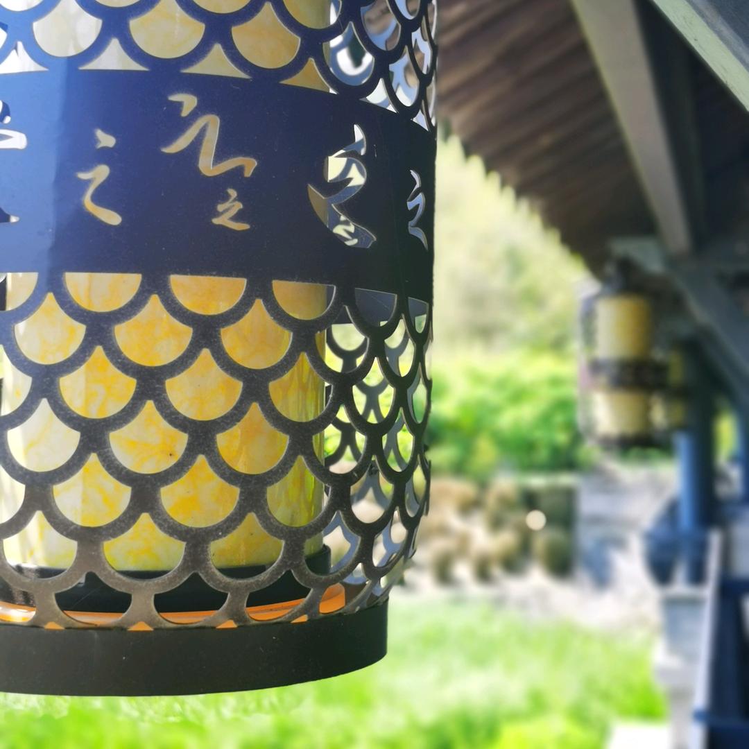 🎆小猫的喵💫