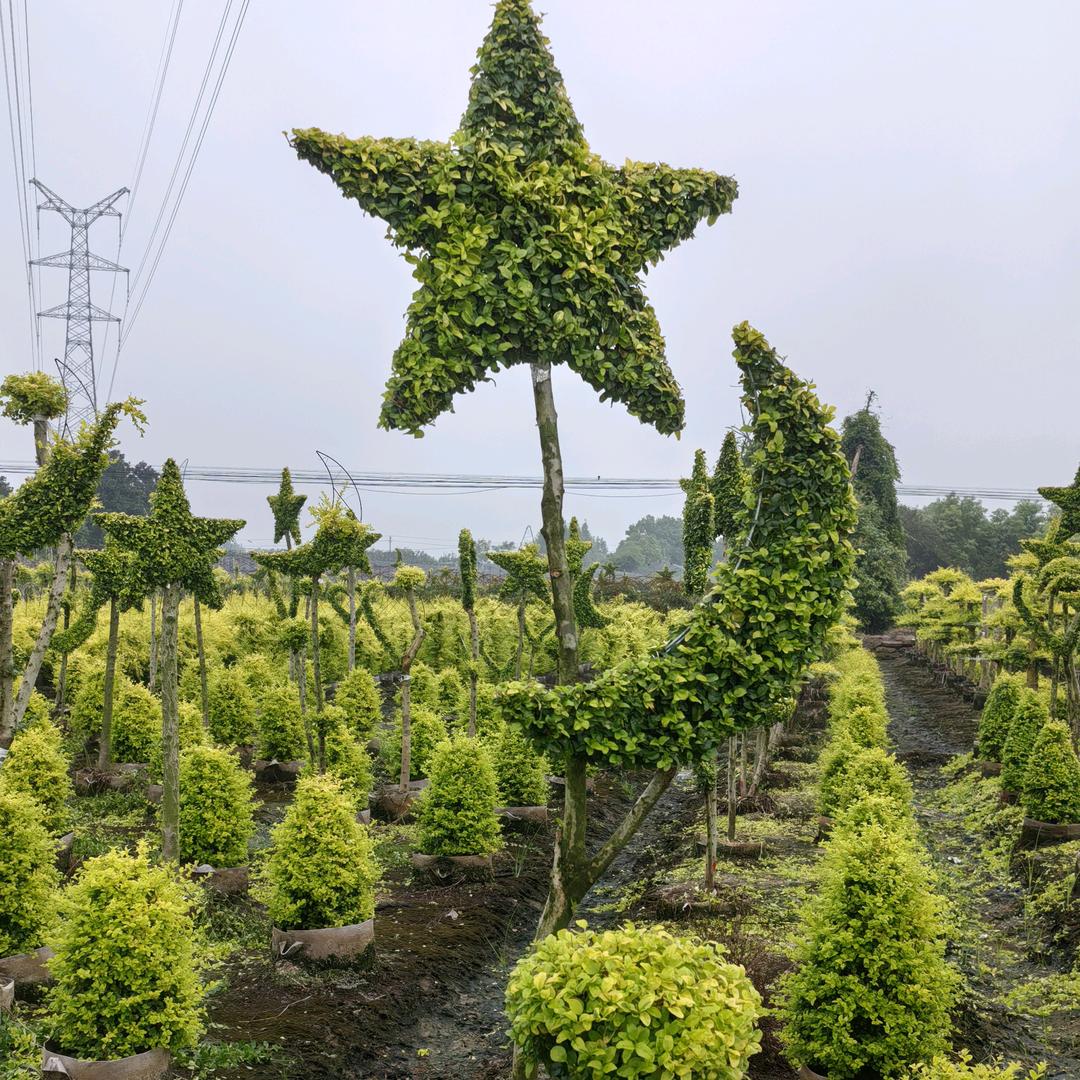 老河