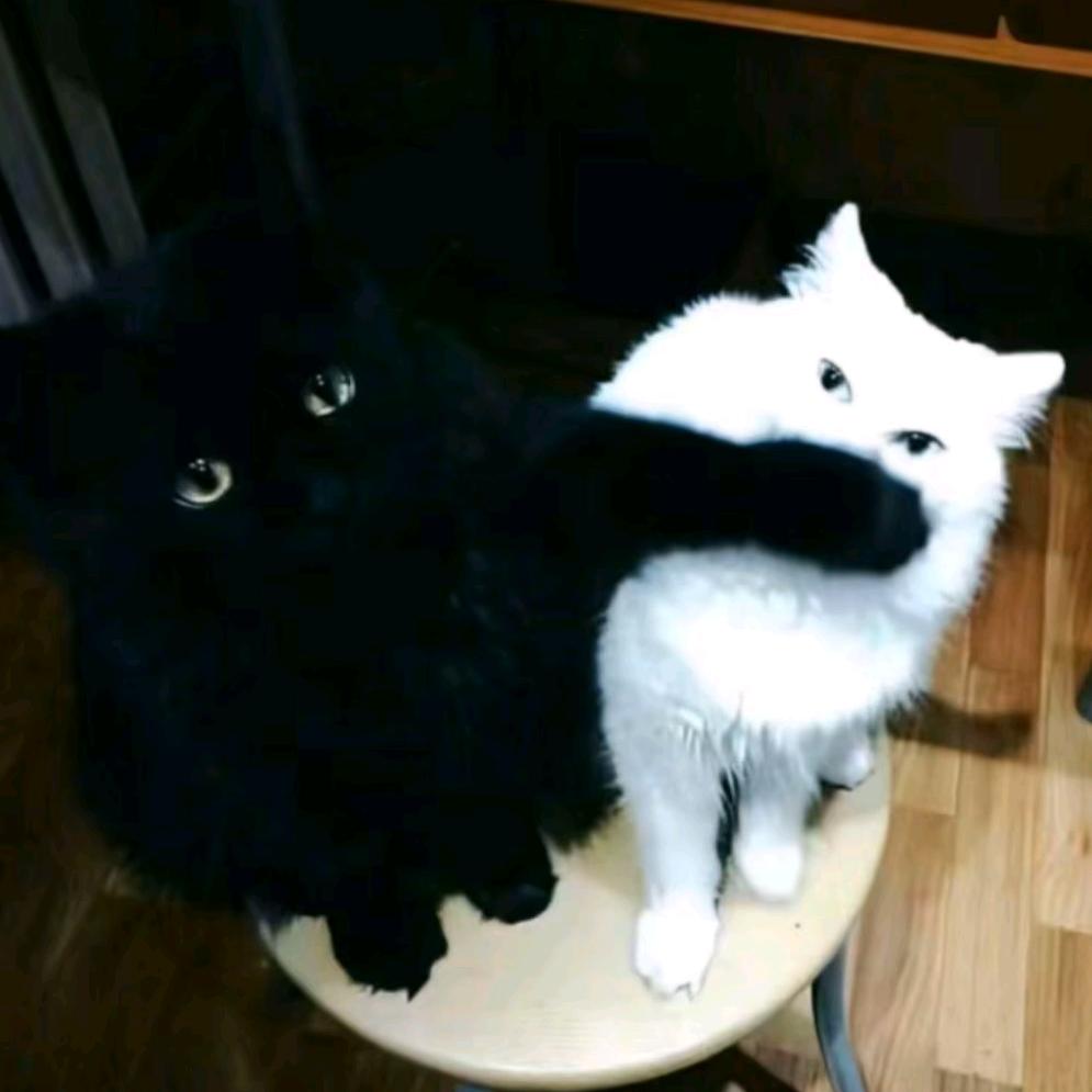 K.Y