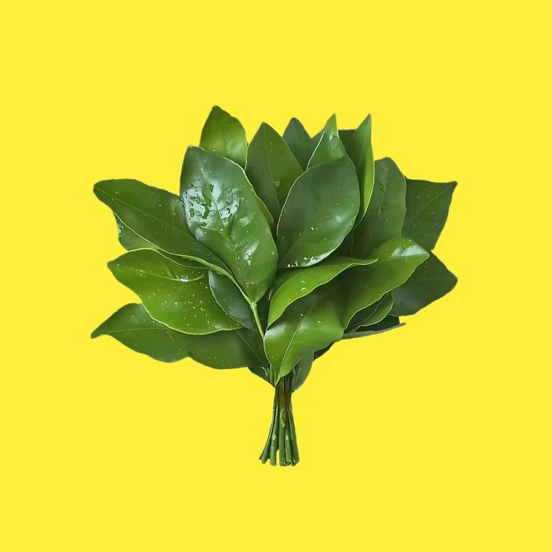 水水大王