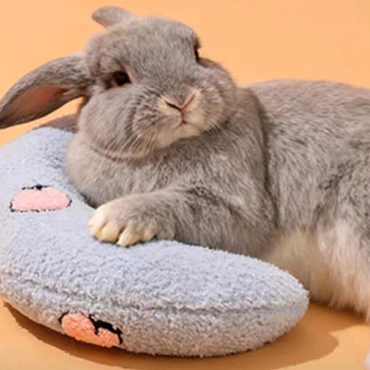 🌝᭄傻🧡ྀི丫头🦅