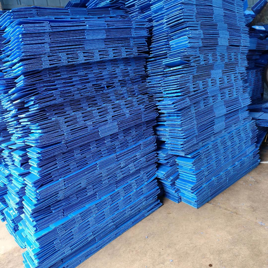 开心果♥️♥️♥️♥️♥️♥️