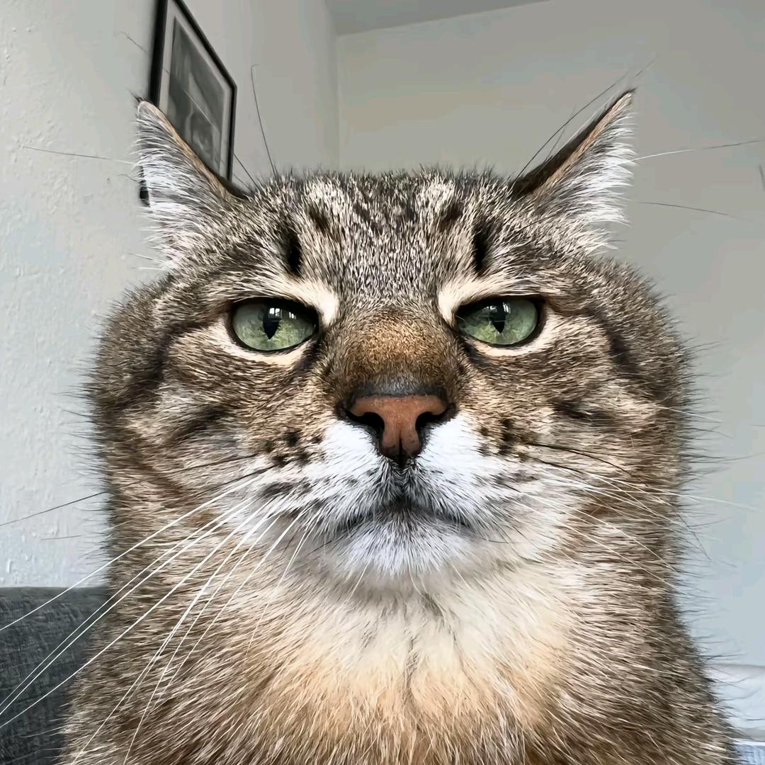 𝒑𝒂𝒓𝒌𝒆𝒓⁶³