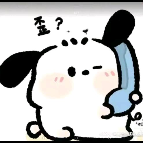 章鱼小丸子🐙（已有龟）