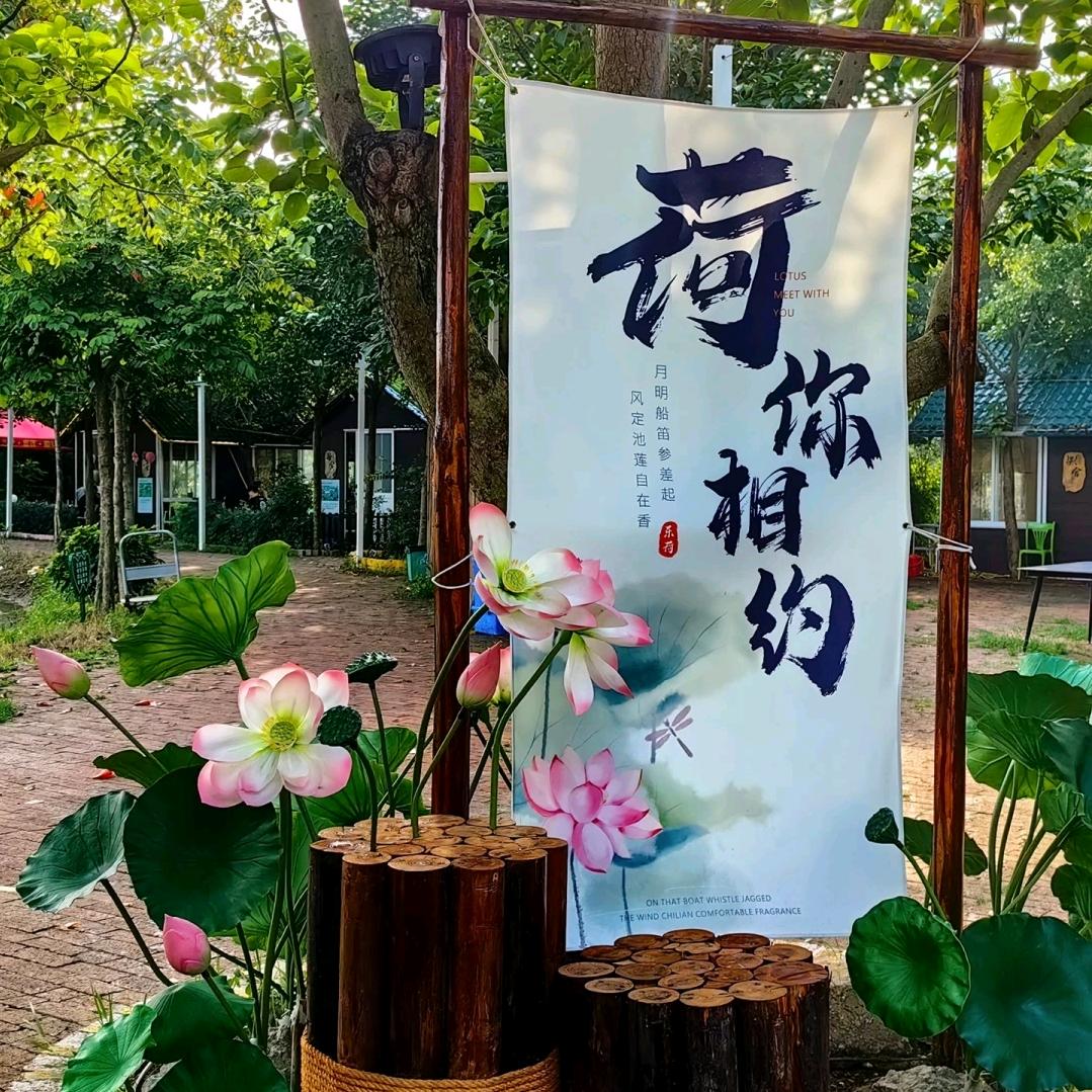 A莲子基地
