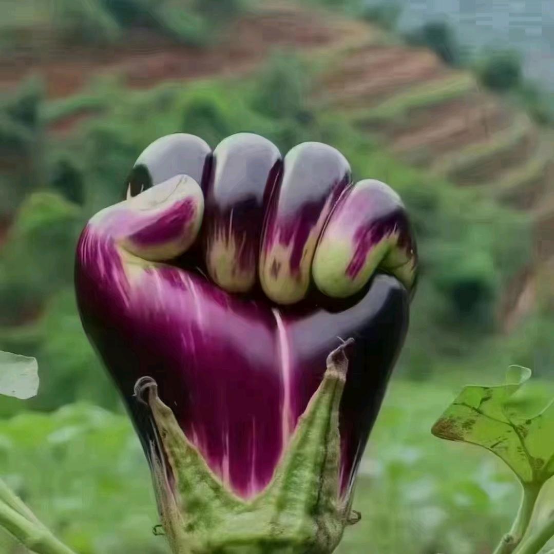 东方教练