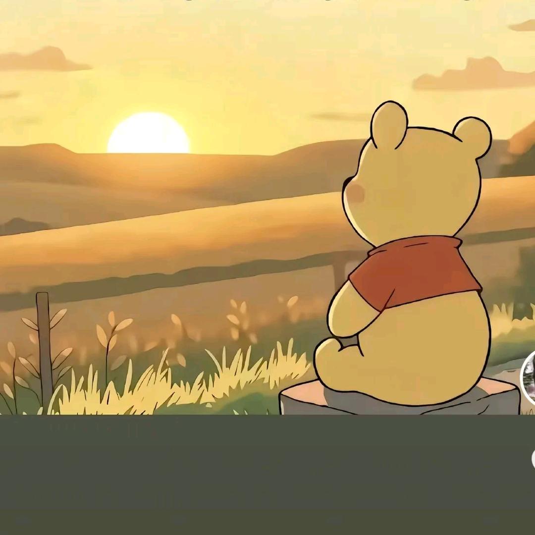 不曾完美《谢绝连赞》