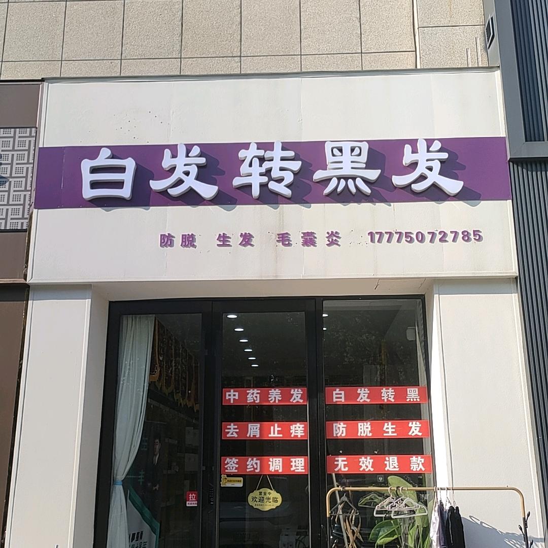 江苏淮安李老师白发养黑发