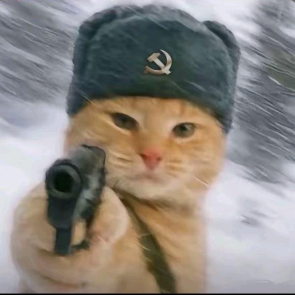 小孟哥