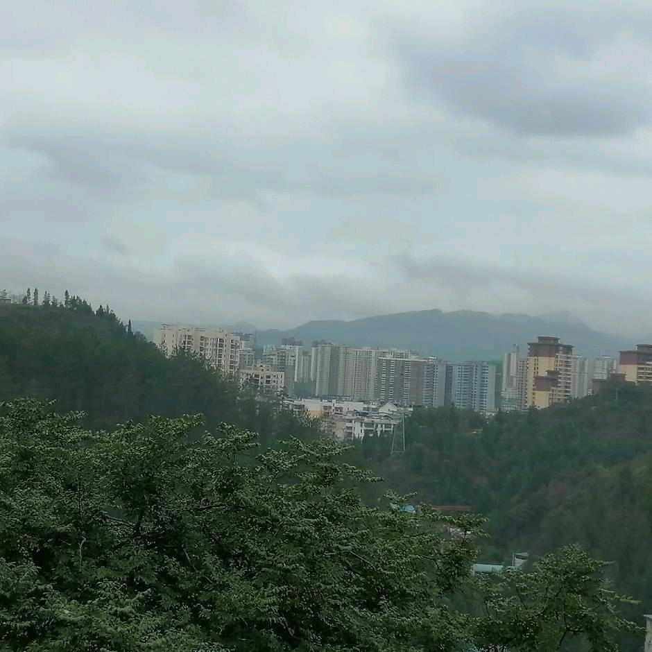 DUAN-{老段}