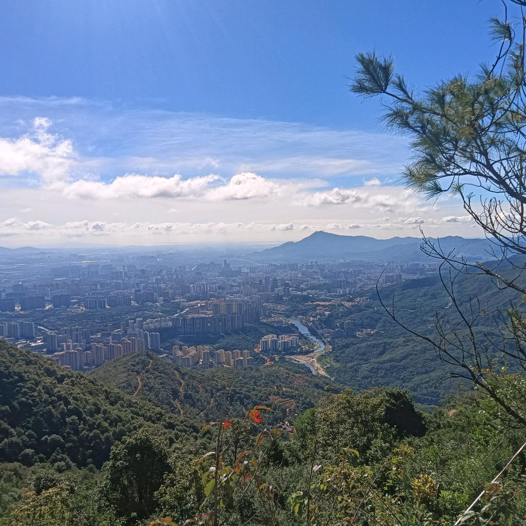 白开水