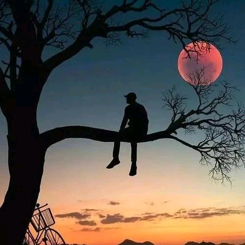 封（风雨人生）心