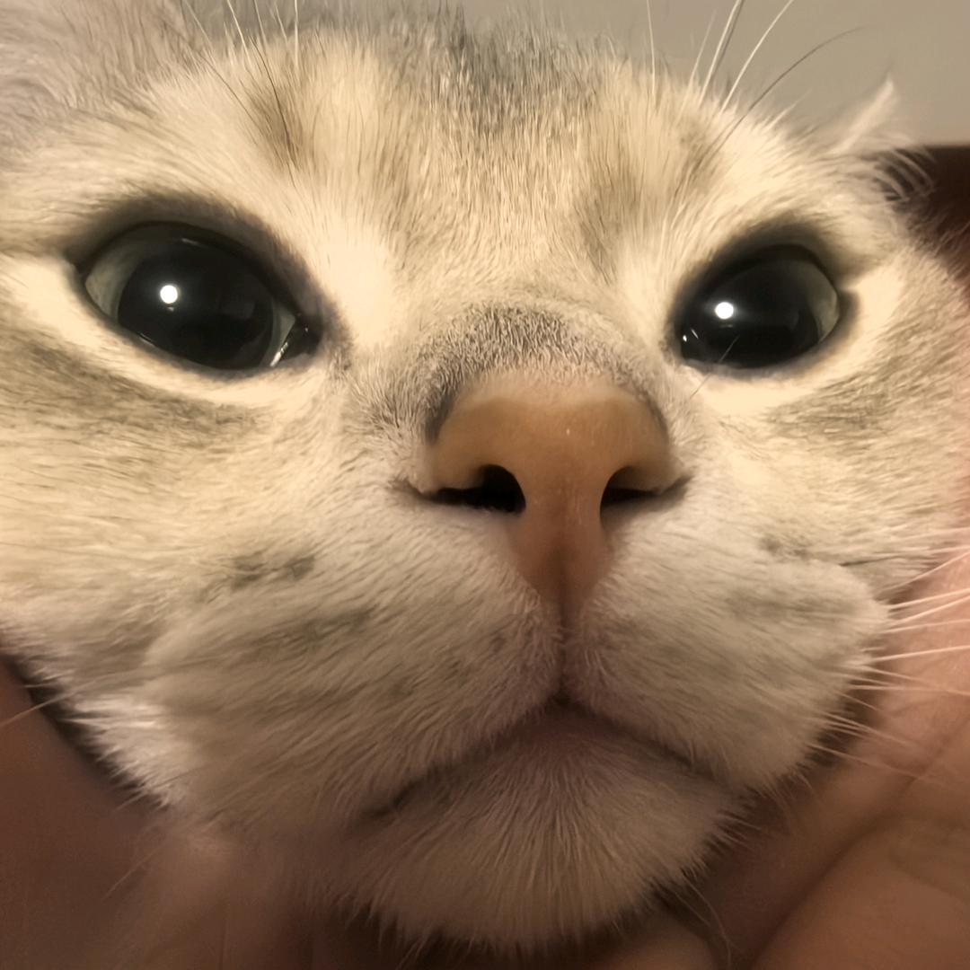 GAKi