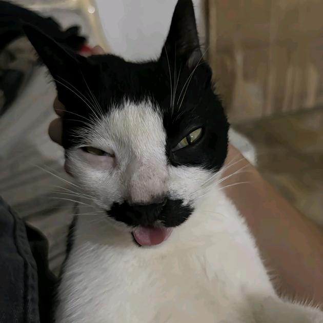 小可爱拉臭臭 拉完就往嘴里送