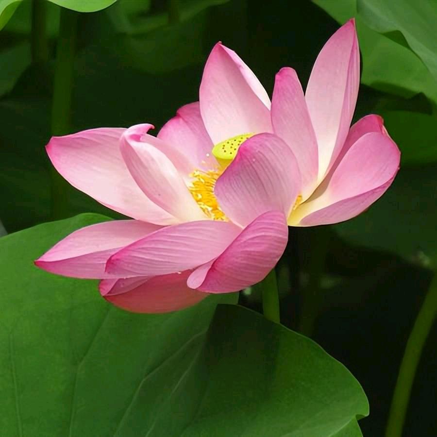 既然青春留不住