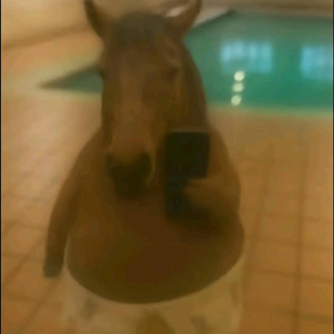 忧郁的马.