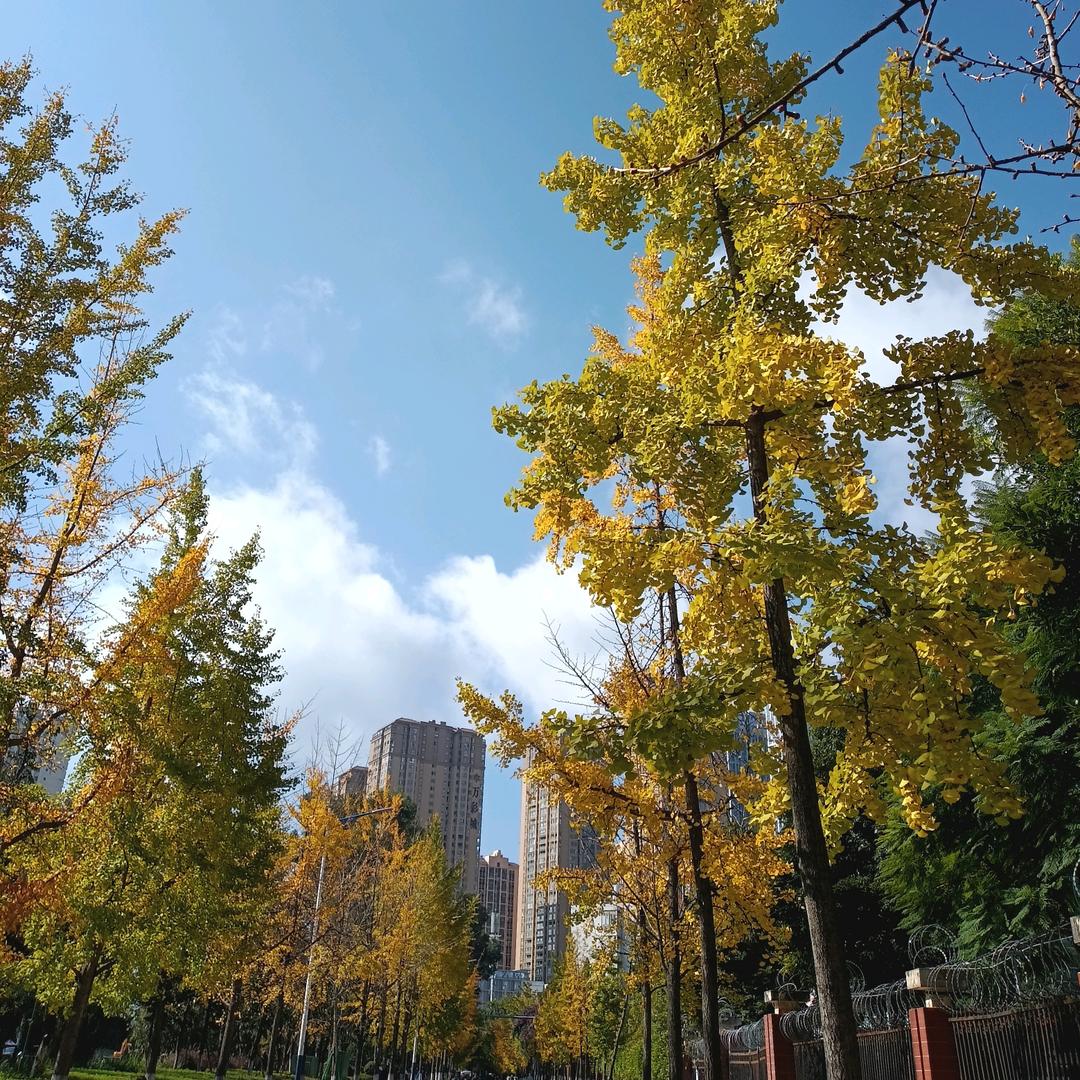 记忆的痕迹谁能董