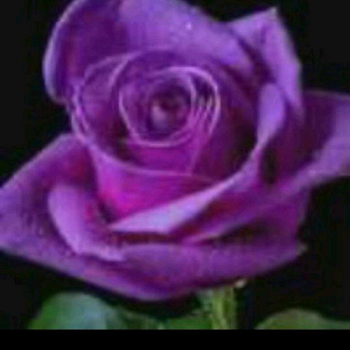 @💕💕ღ᭄💰随心所遇❤️ 💞