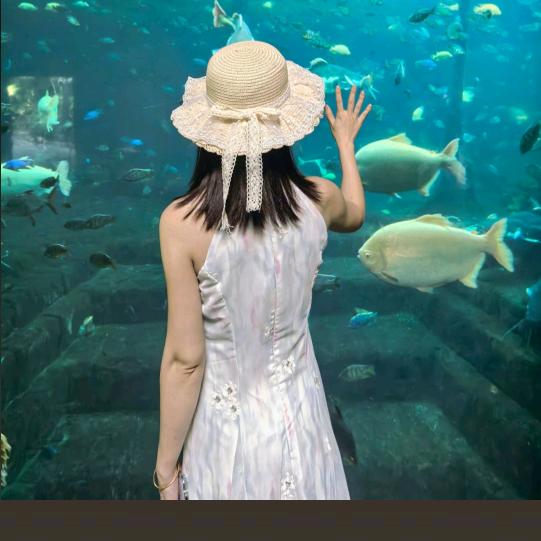 💦🌹习惯沉默💦🌹