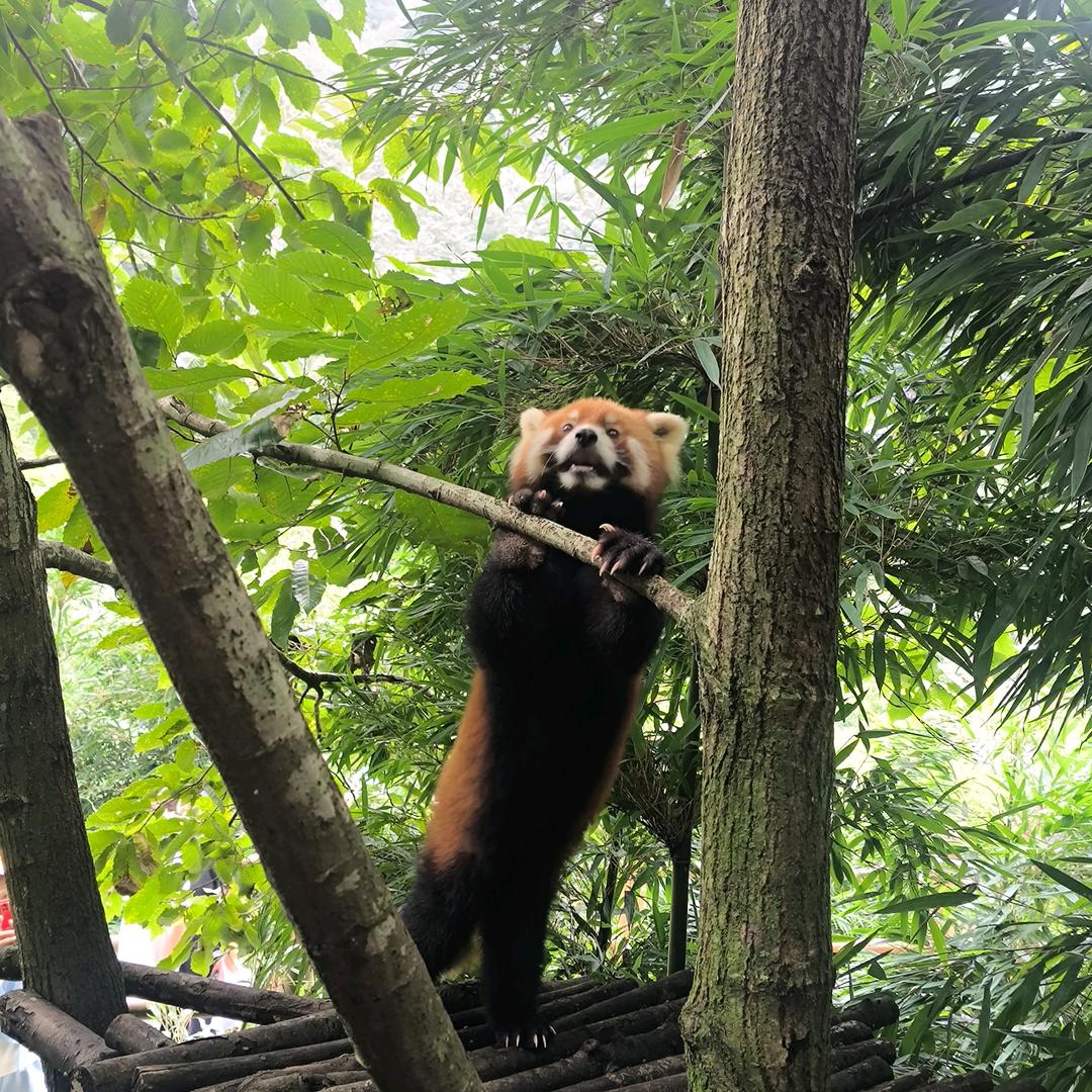 风过无痕