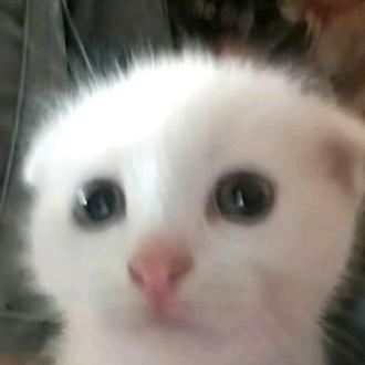 ☁