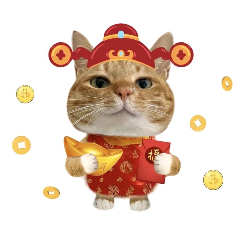 田田向上.