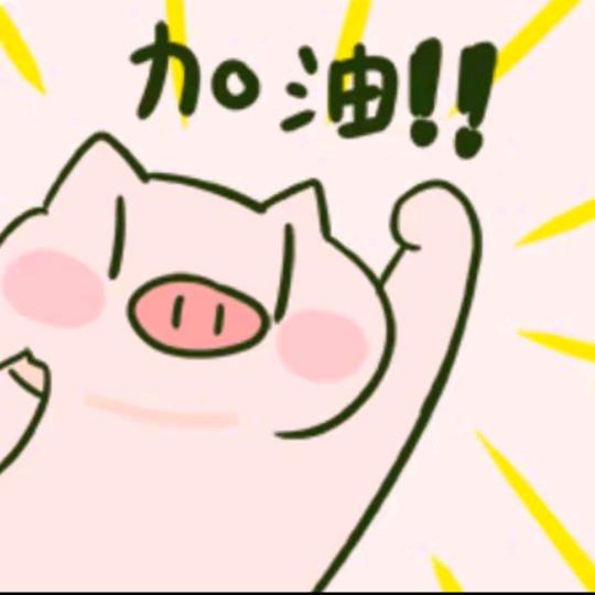 @顺顺来 •͈ ₃ •͈꧞