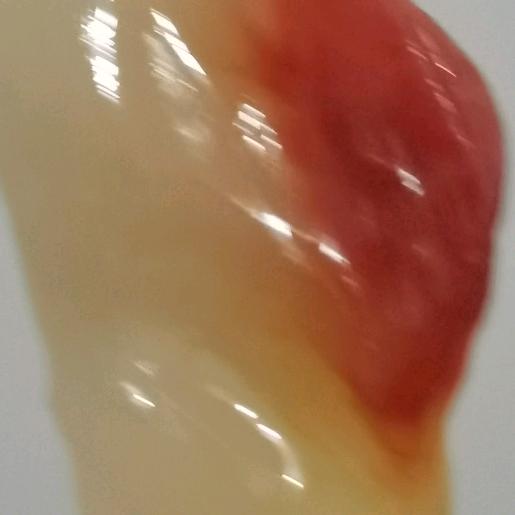 688