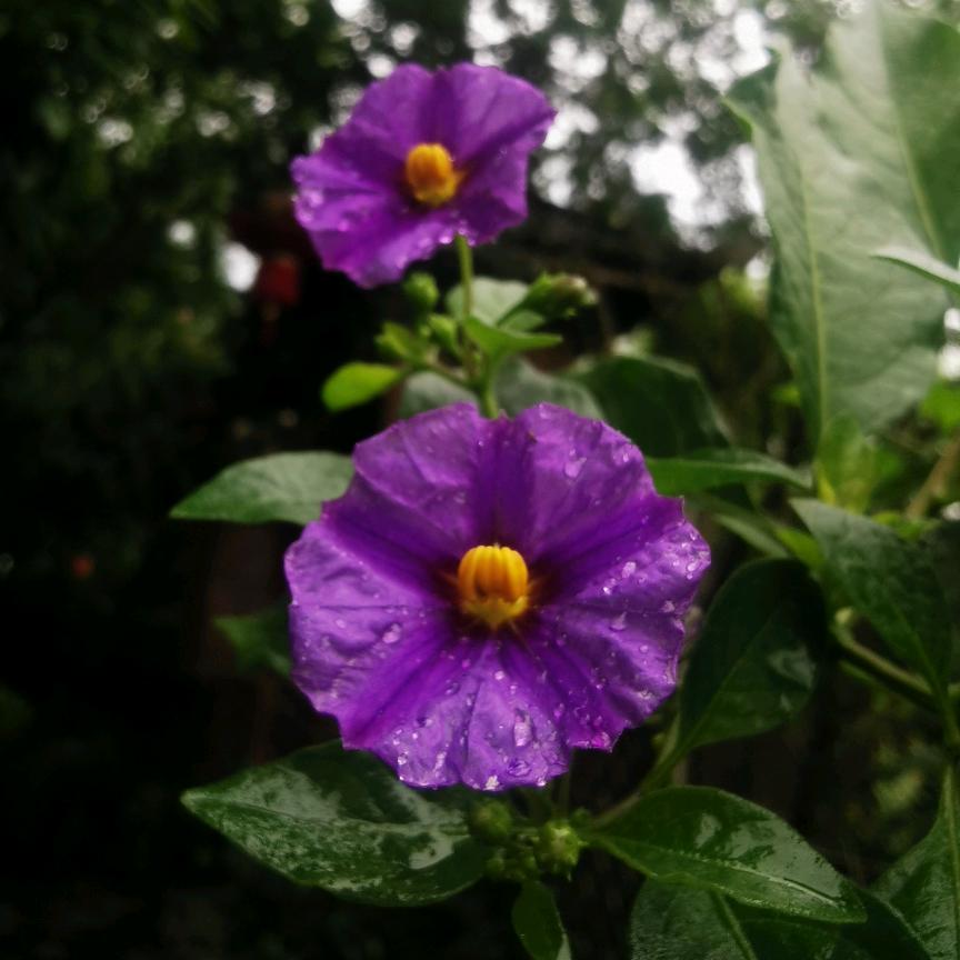 陌上🍒花开🍃