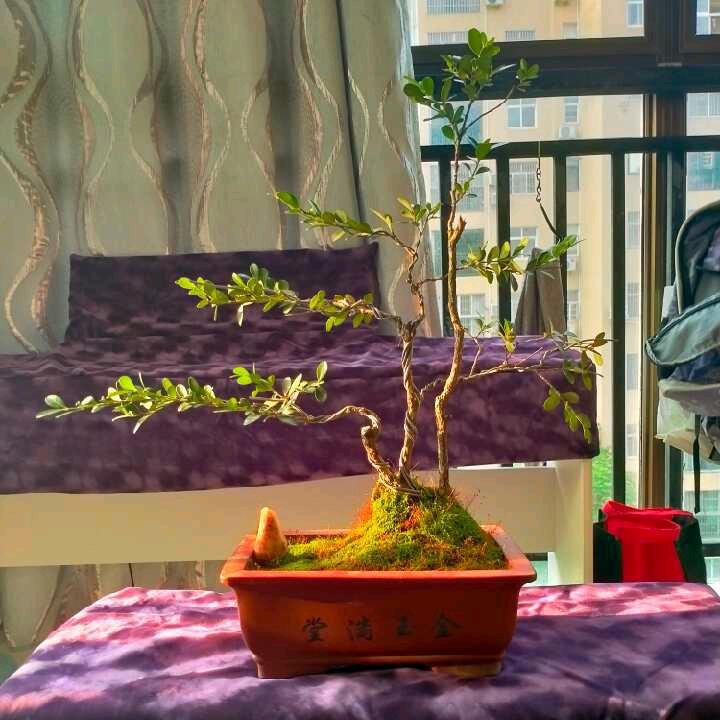 江南水乡