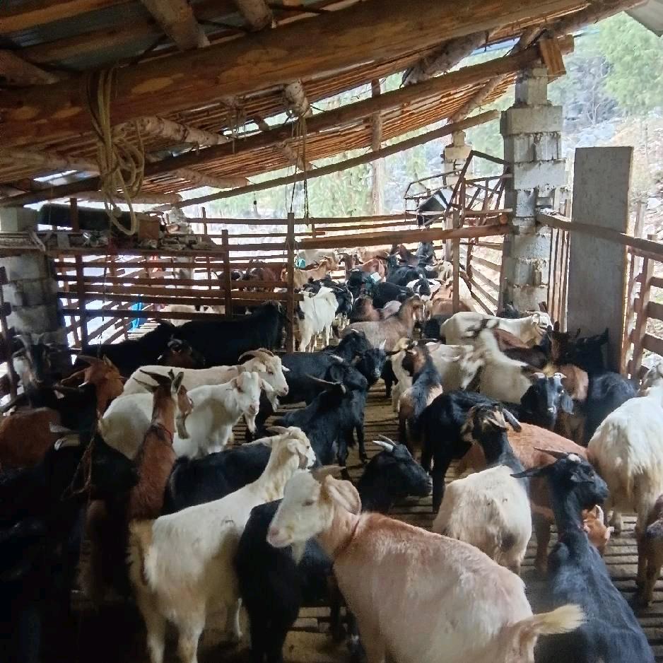 钱难挣，屎难吃