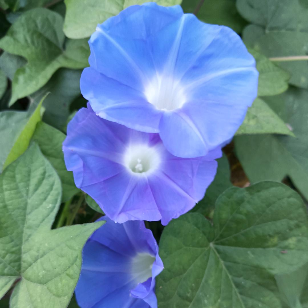 这一程走的好累。