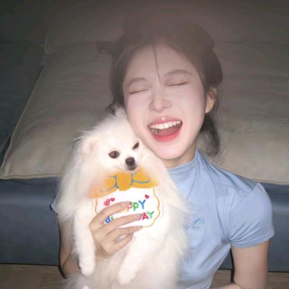 肥猫和狗一个价