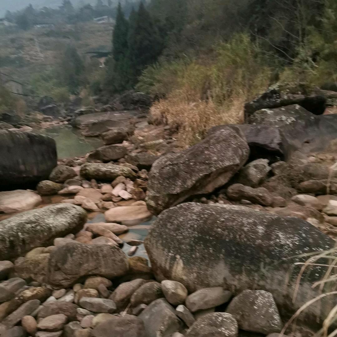 凉白开🌾🌾 🌾