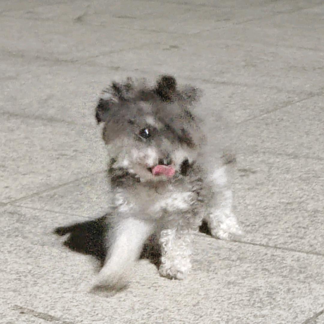 一点点开心