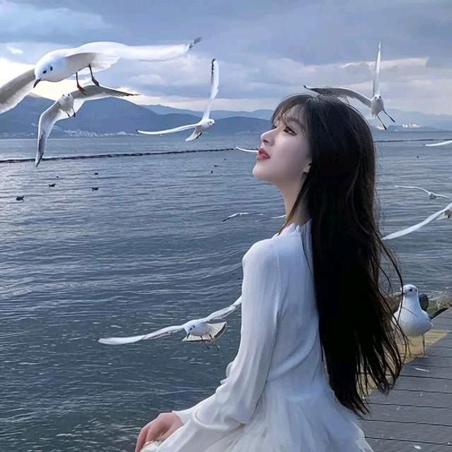 敏姐收藏