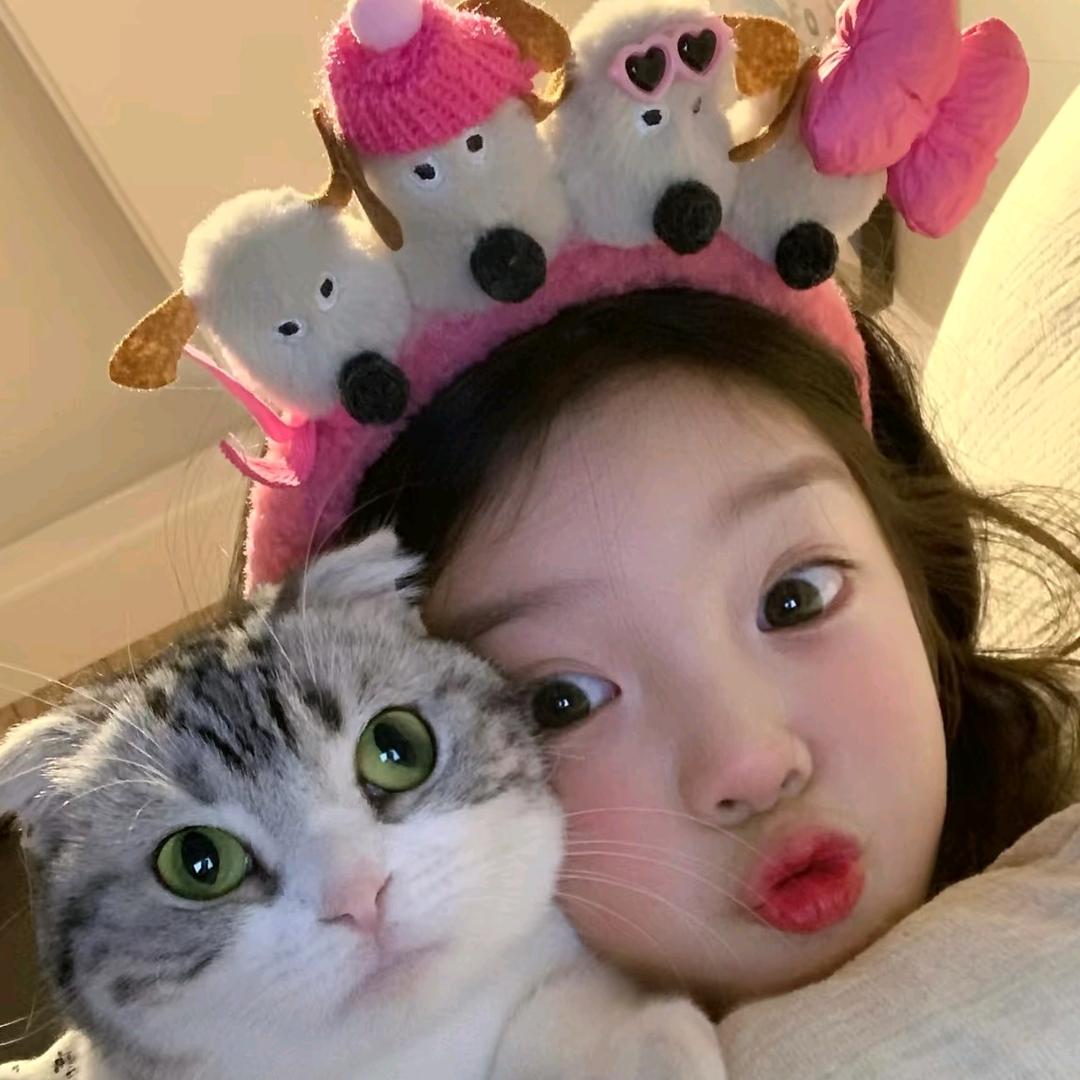 肥羊